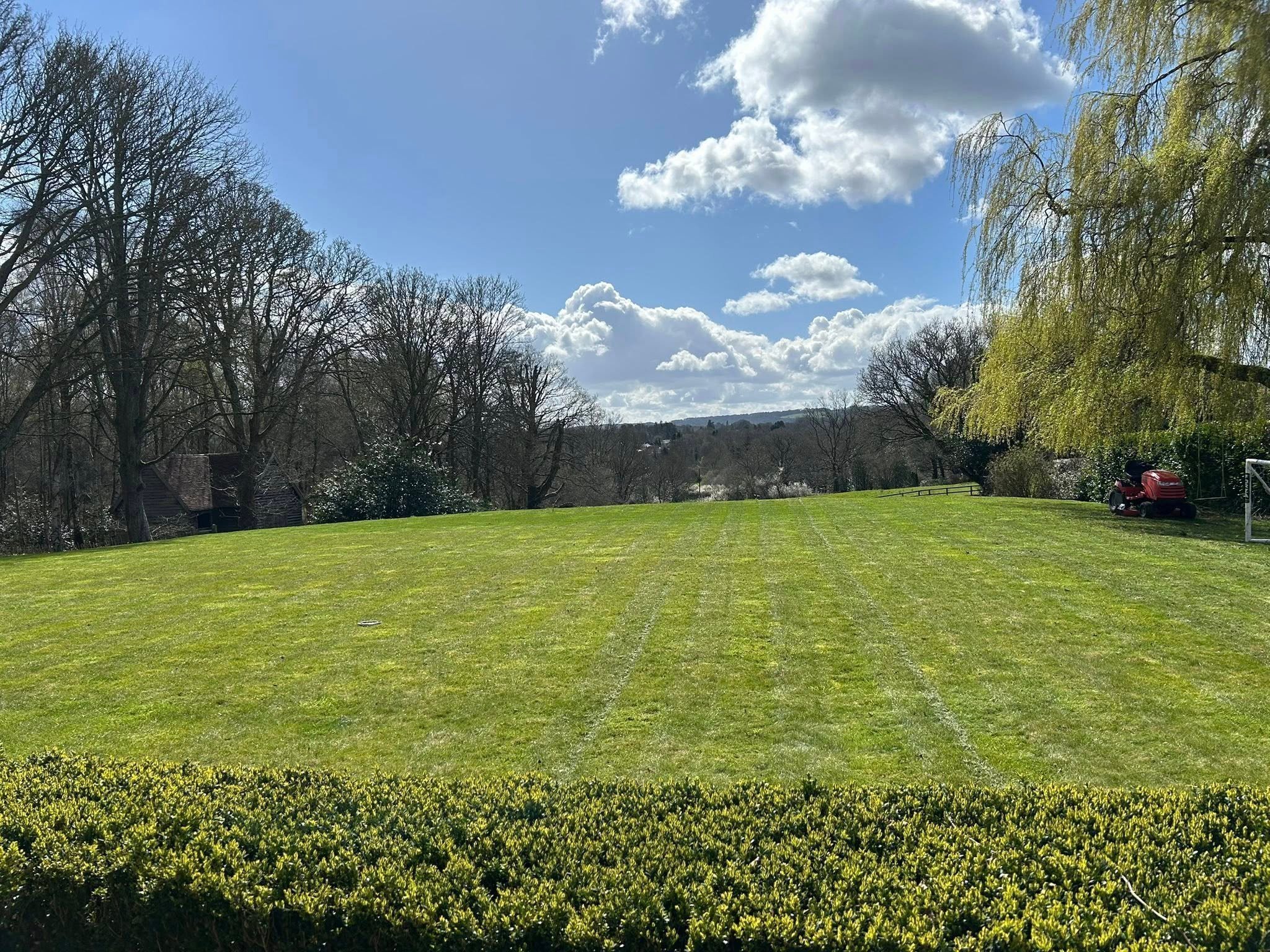 David’s Gardening Maintenance